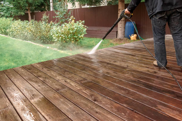 Best Dumpster Area Cleaning  in Rantoul, IL
