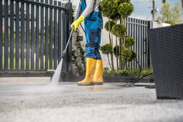 Best Roof Washing  in Rantoul, IL